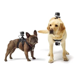 GoPro Fetch Dog Harness -Nordsmin Shop gopro fetch dog harness 3