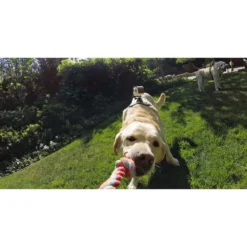 GoPro Fetch Dog Harness -Nordsmin Shop gopro fetch dog harness 4