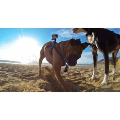 GoPro Fetch Dog Harness -Nordsmin Shop gopro fetch dog harness 5