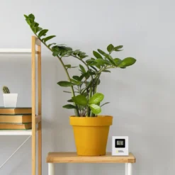 National Geographic 9070710 Weather Station Display -Nordsmin Shop national geographic 9070710 weather station display 4