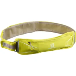 Salomon Agile 250ml Set Waist Pack